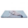 Cute cat on acoustic framed panel