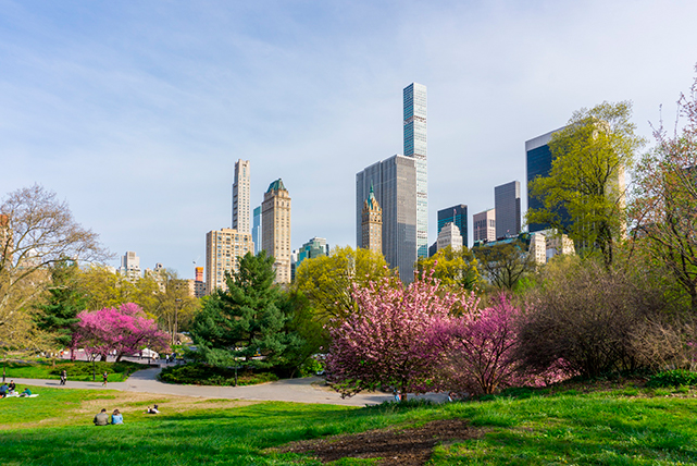 Spring in Central Park, New York City